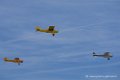 piper_6307