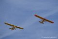 piper_6316