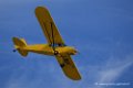piper_6325