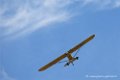 piper_6335
