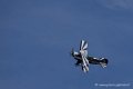 pitts_6441