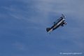 pitts_6447