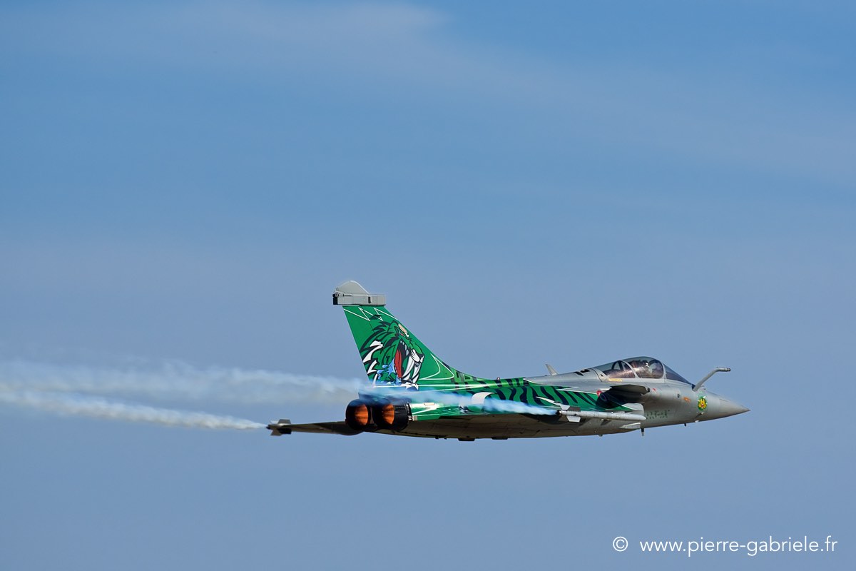 rafale-tiger_3625.jpg