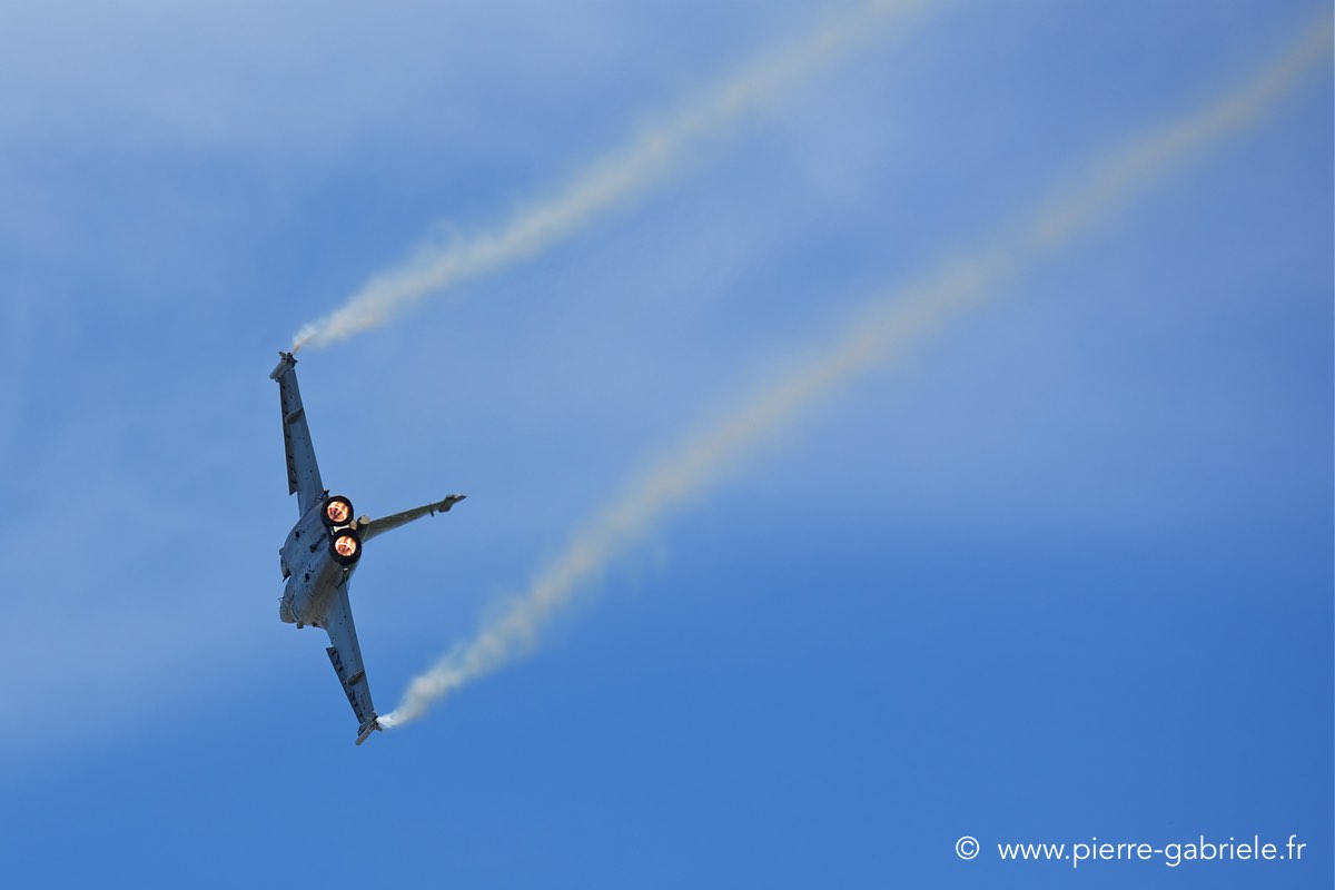 rafale-tiger_3639.jpg