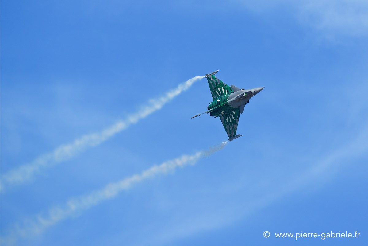 rafale-tiger_3690.jpg