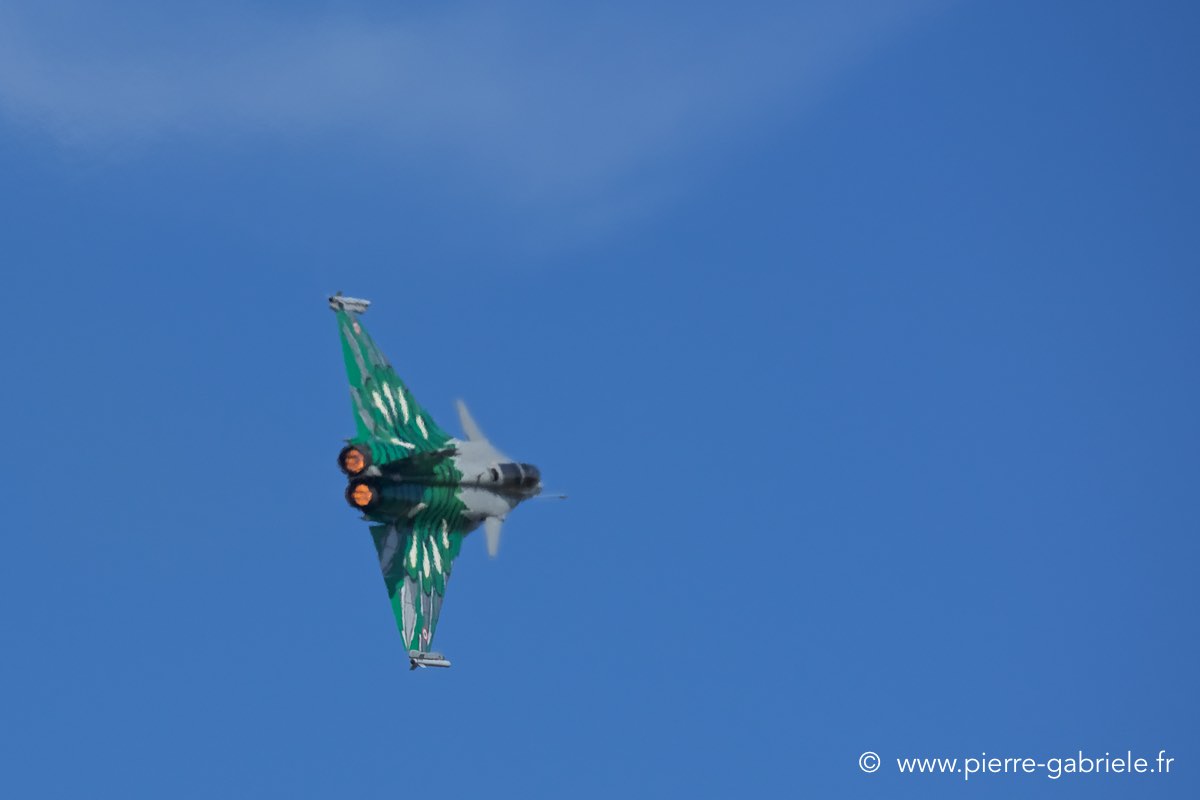 rafale-tiger_3728.jpg