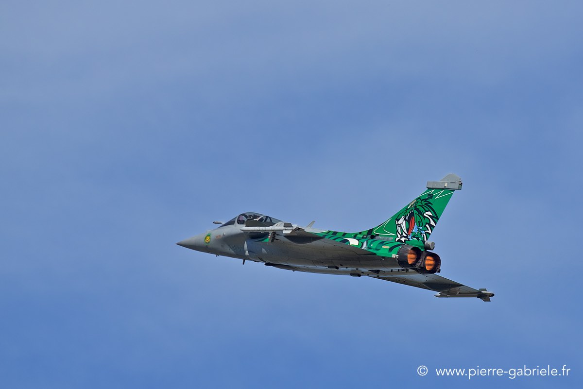 rafale-tiger_3738.jpg