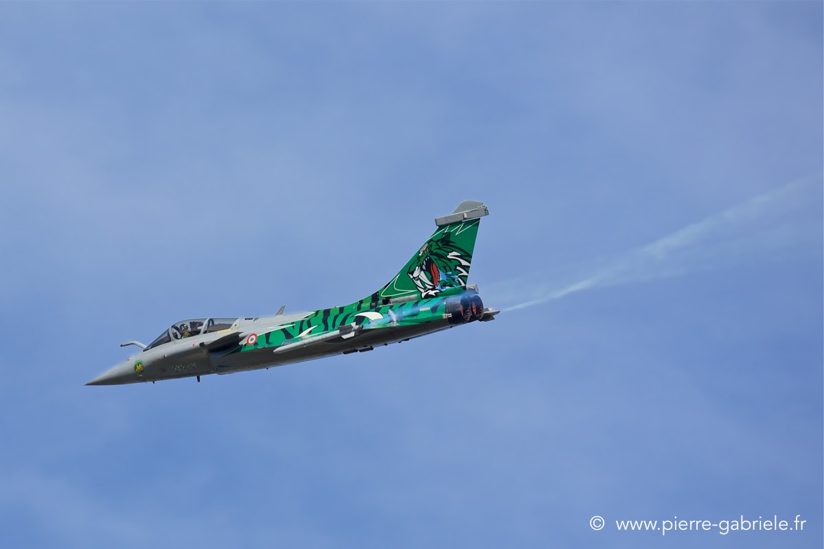 rafale-tiger_3758.jpg