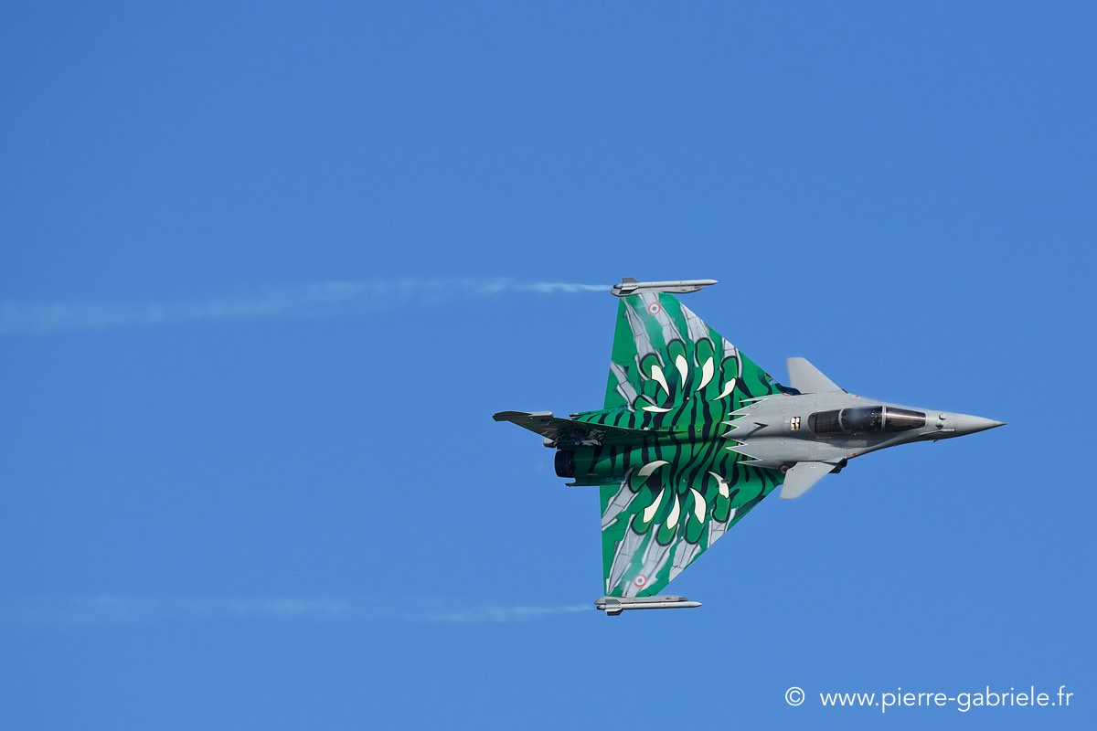 rafale-tiger_3765.jpg