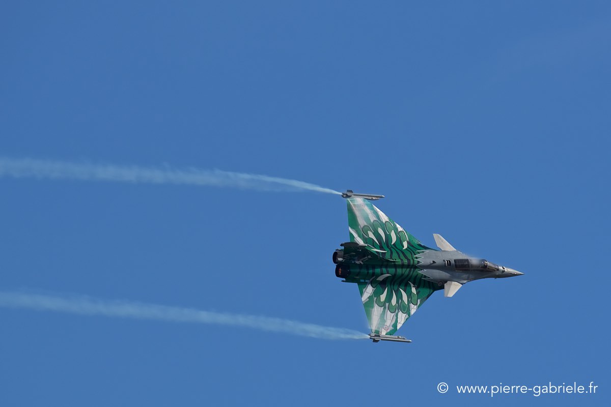 rafale-tiger_3770.jpg