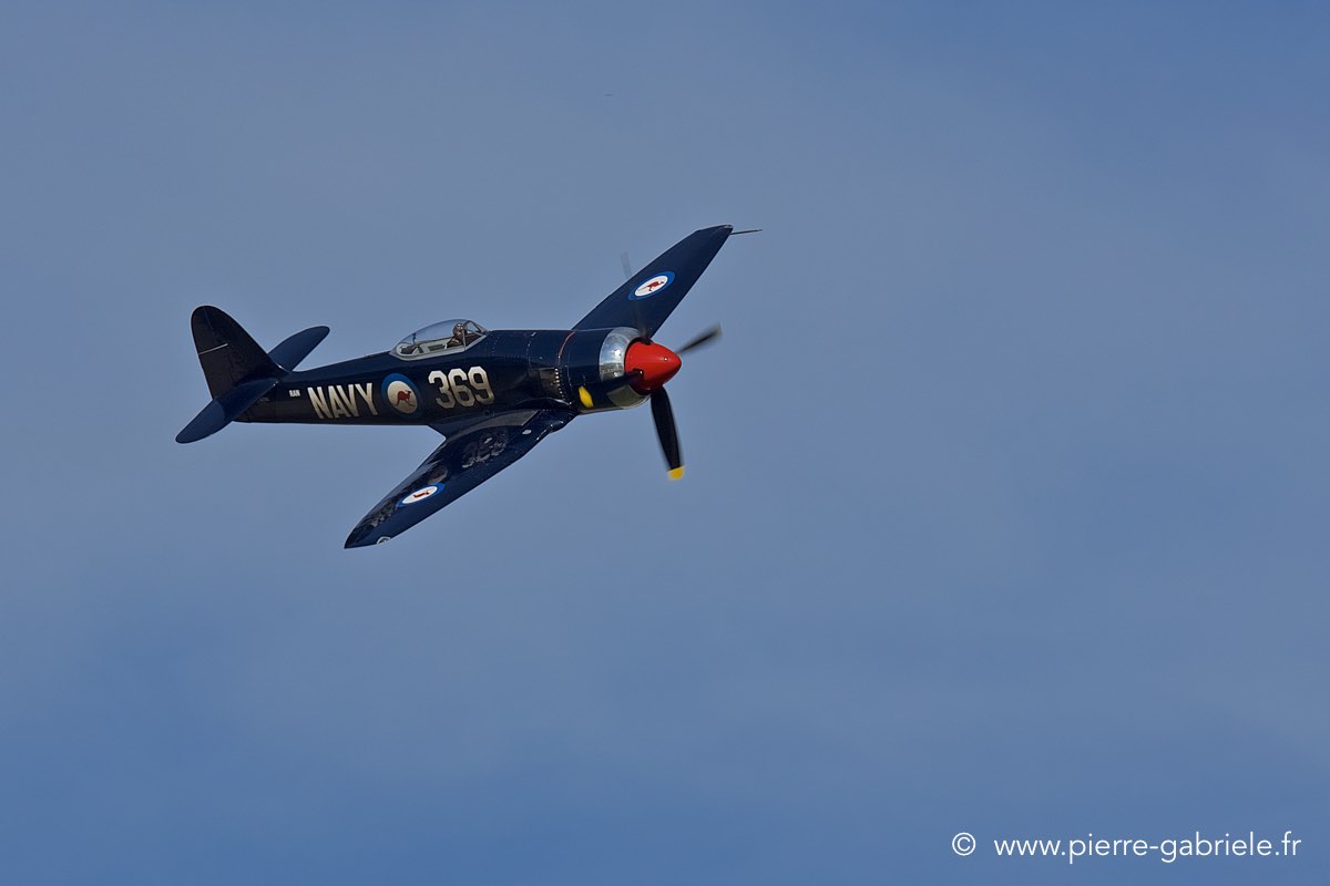 seafury_3872.jpg