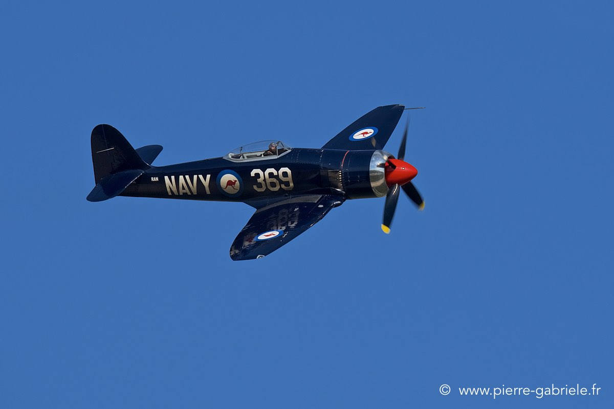 seafury_3873.jpg