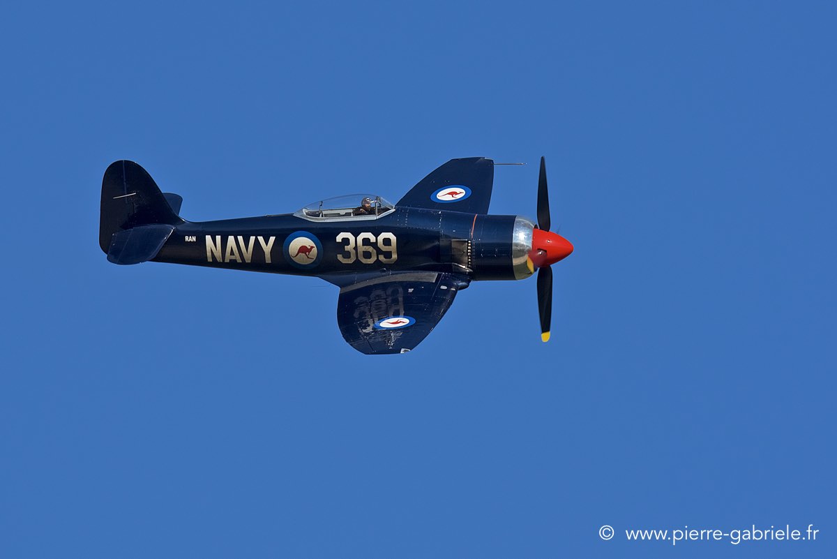 seafury_3874.jpg