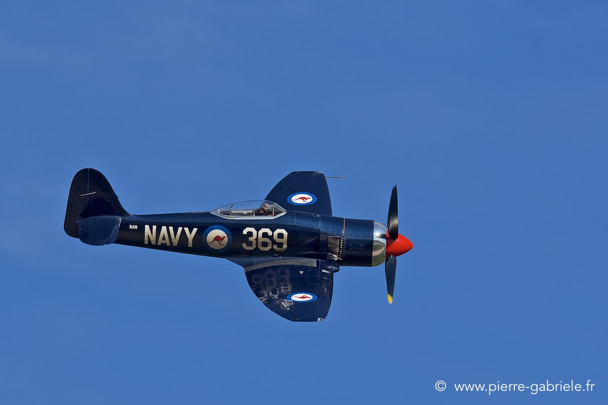seafury_3875.jpg