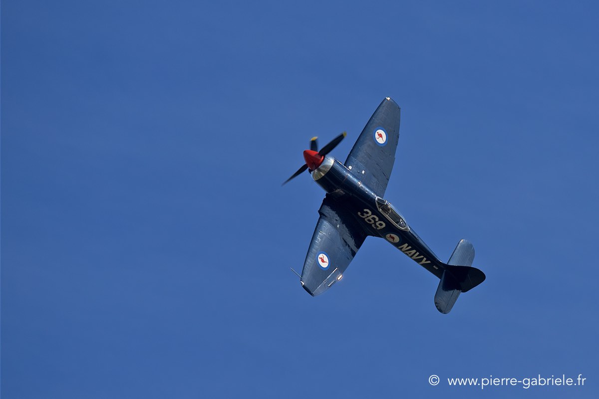 seafury_3878.jpg