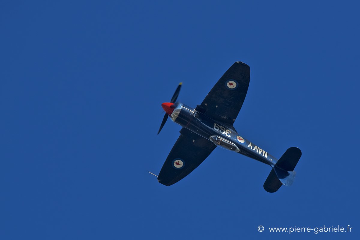seafury_3879.jpg