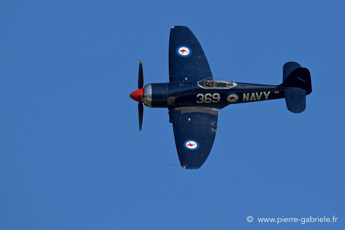 seafury_3885.jpg