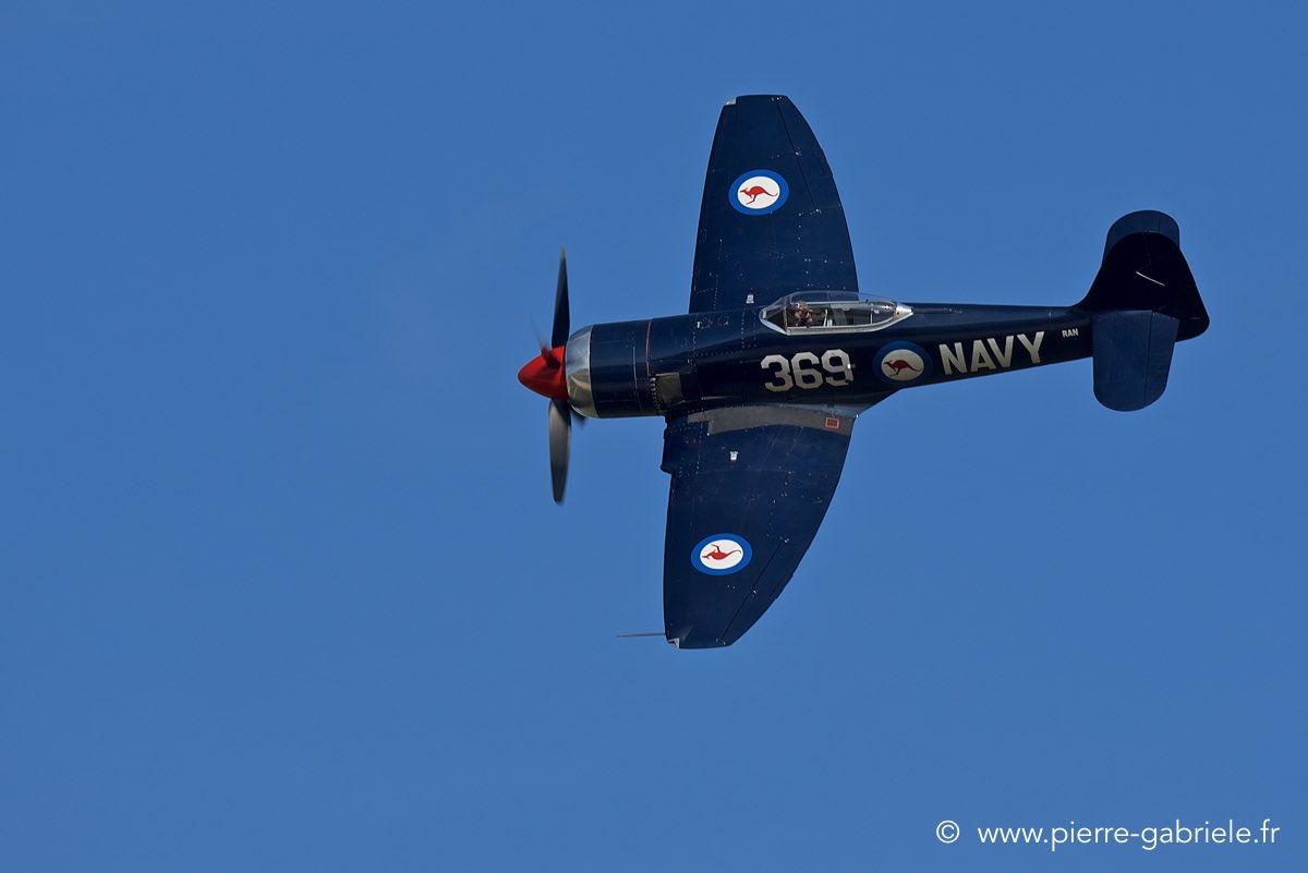 seafury_3886.jpg