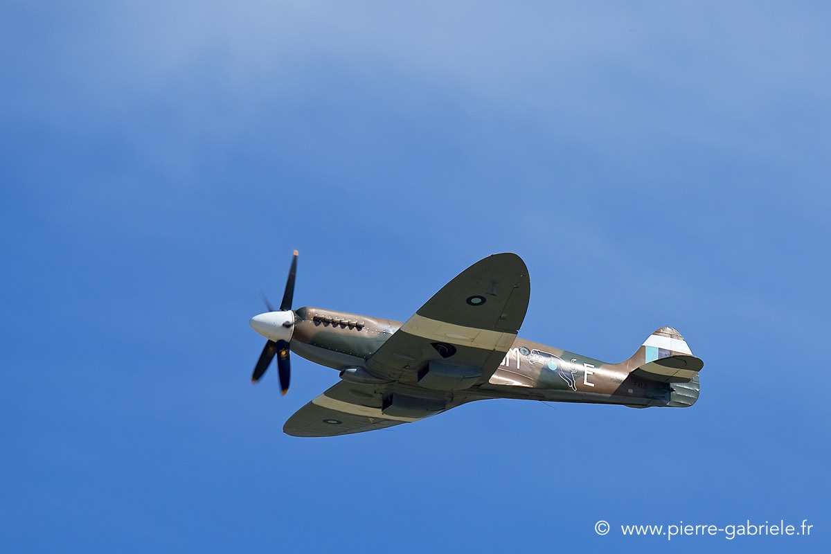 spitfire_3484.jpg