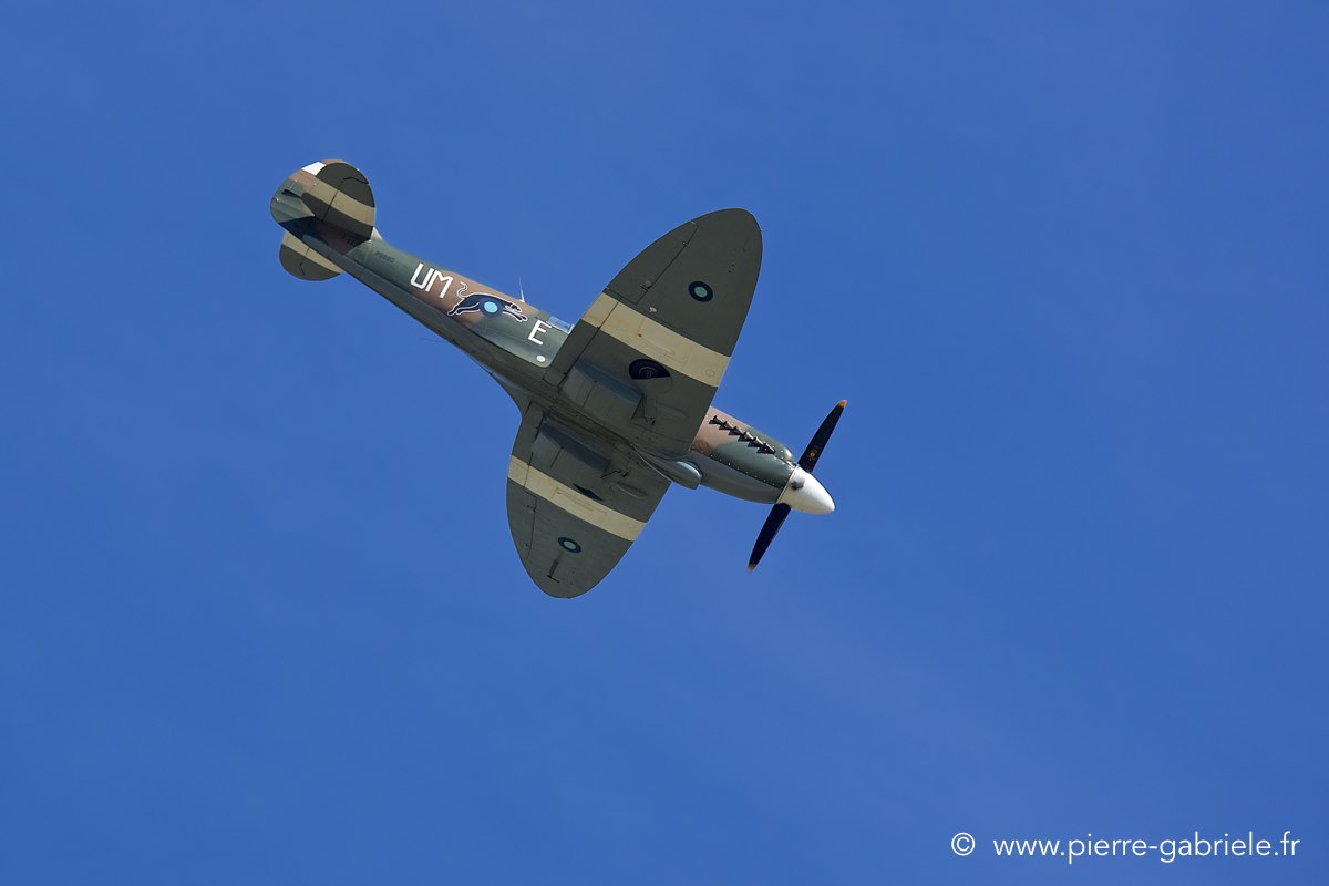 spitfire_3492.jpg