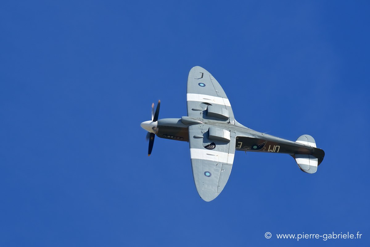 spitfire_3495.jpg
