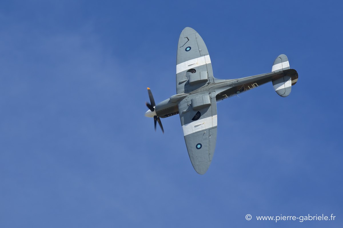 spitfire_3496.jpg