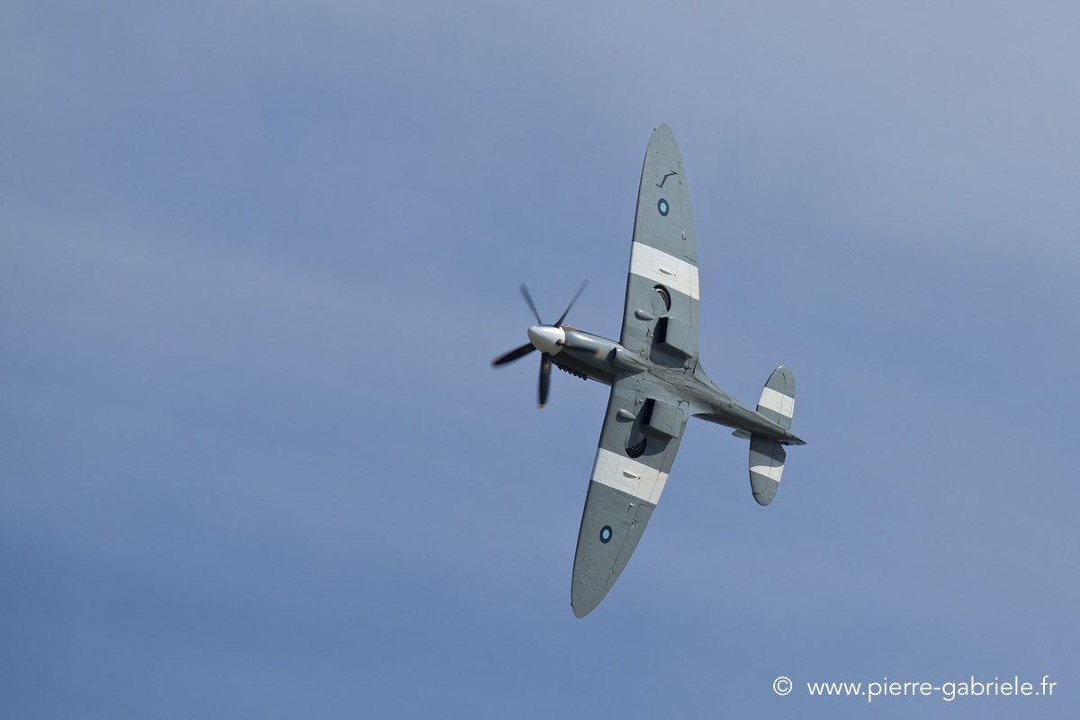 spitfire_3497.jpg