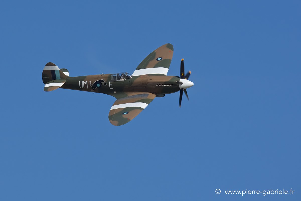 spitfire_3501.jpg