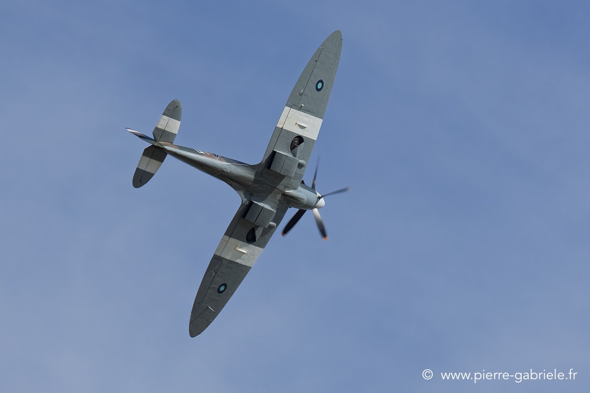 spitfire_3507.jpg