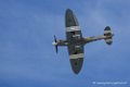 spitfire_3498