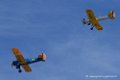 stearman-ryan_3426