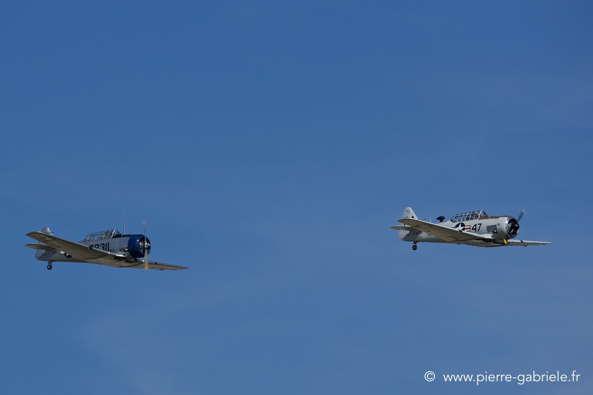 t6_3440.jpg
