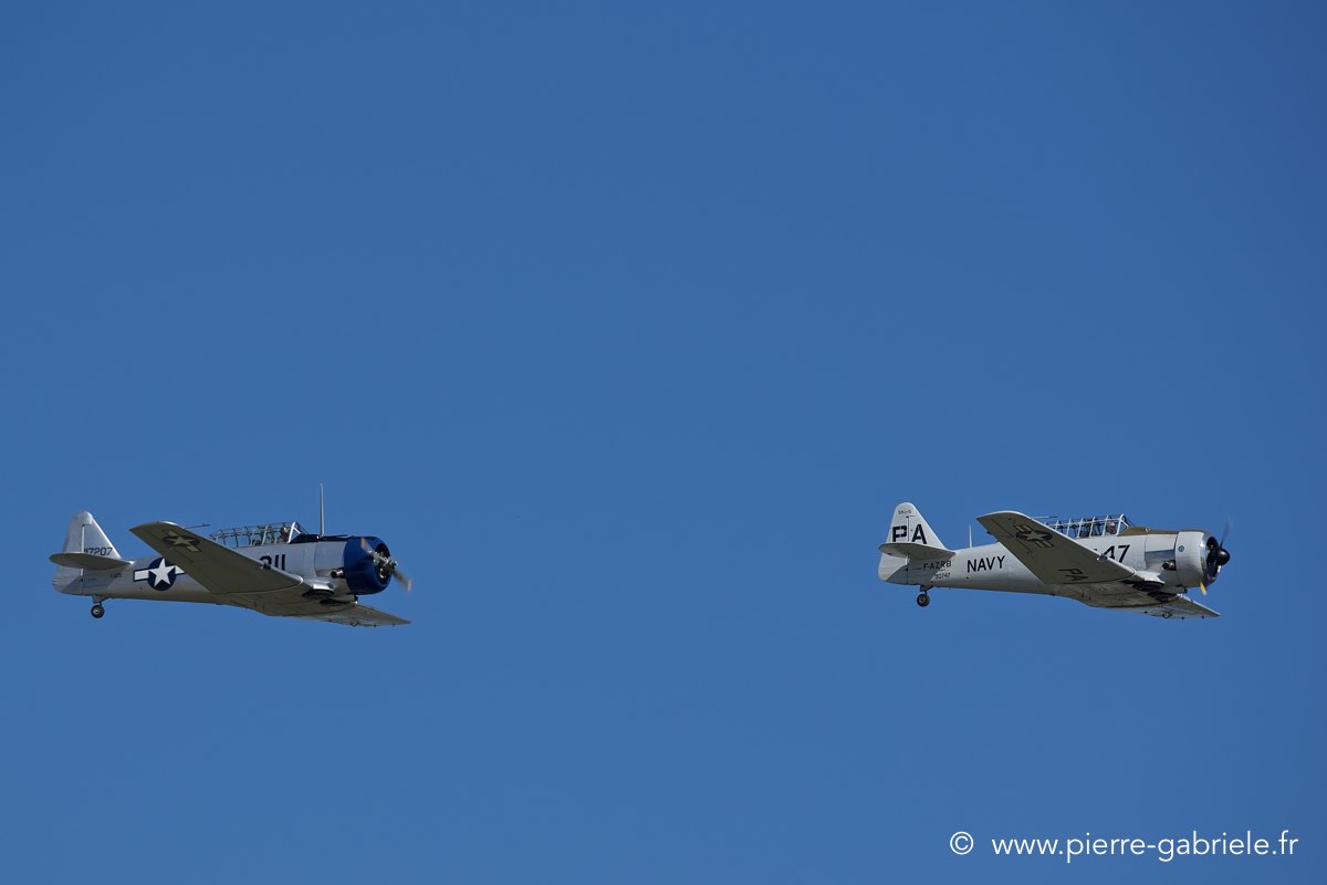 t6_3441.jpg