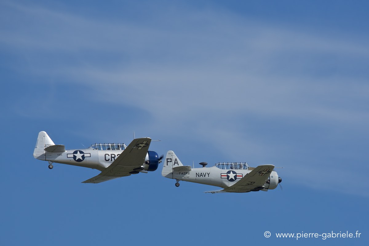 t6_3443.jpg