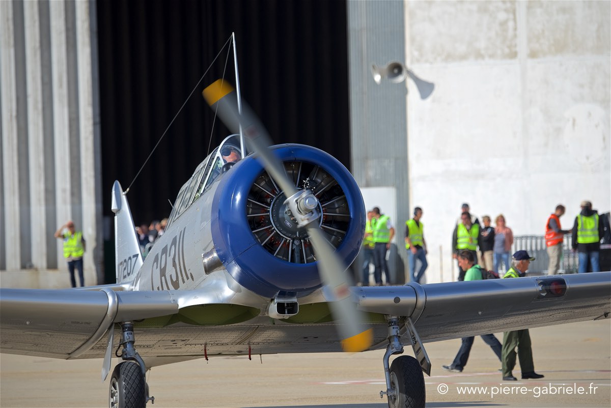 t6_6100.jpg