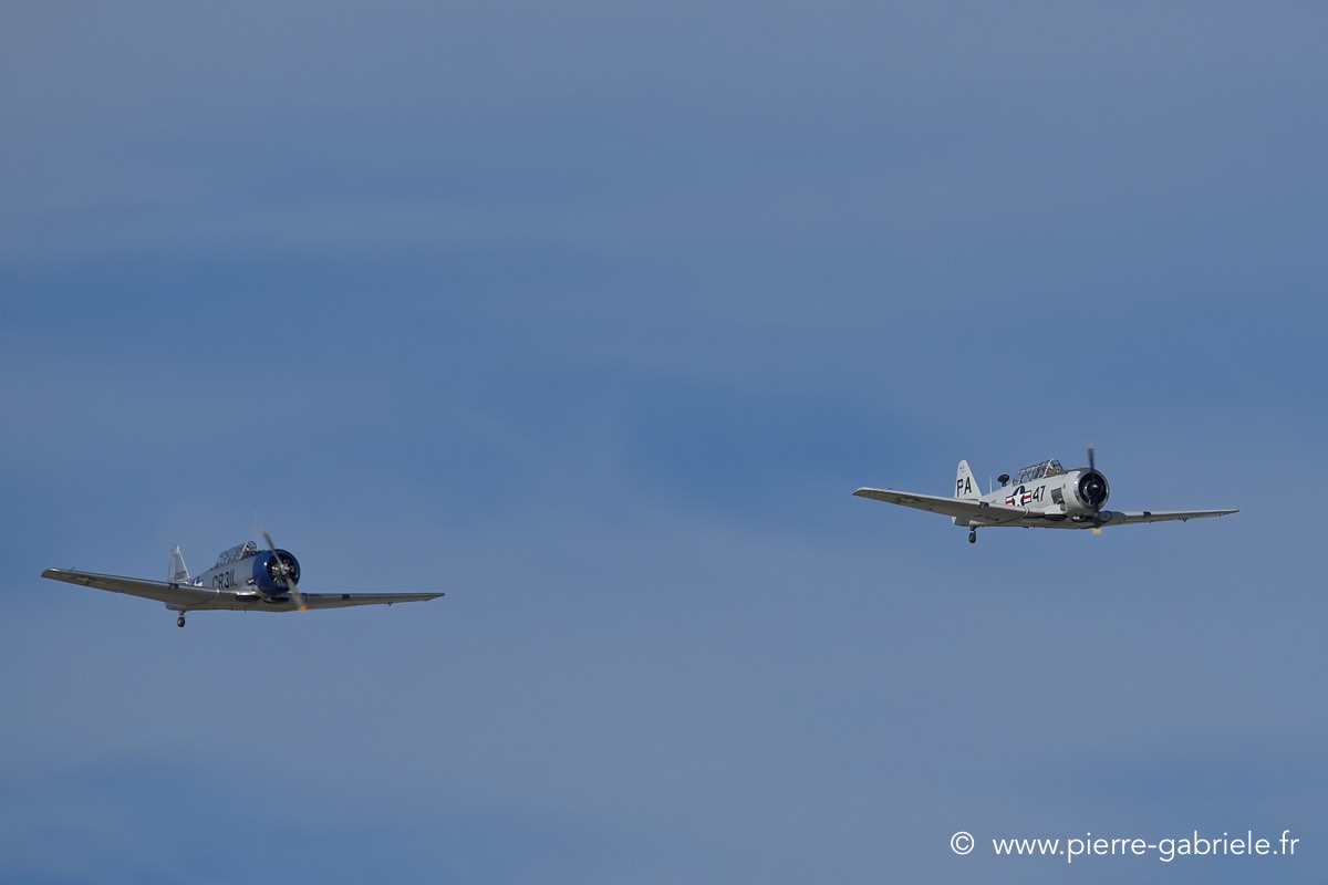 t6_6640.jpg