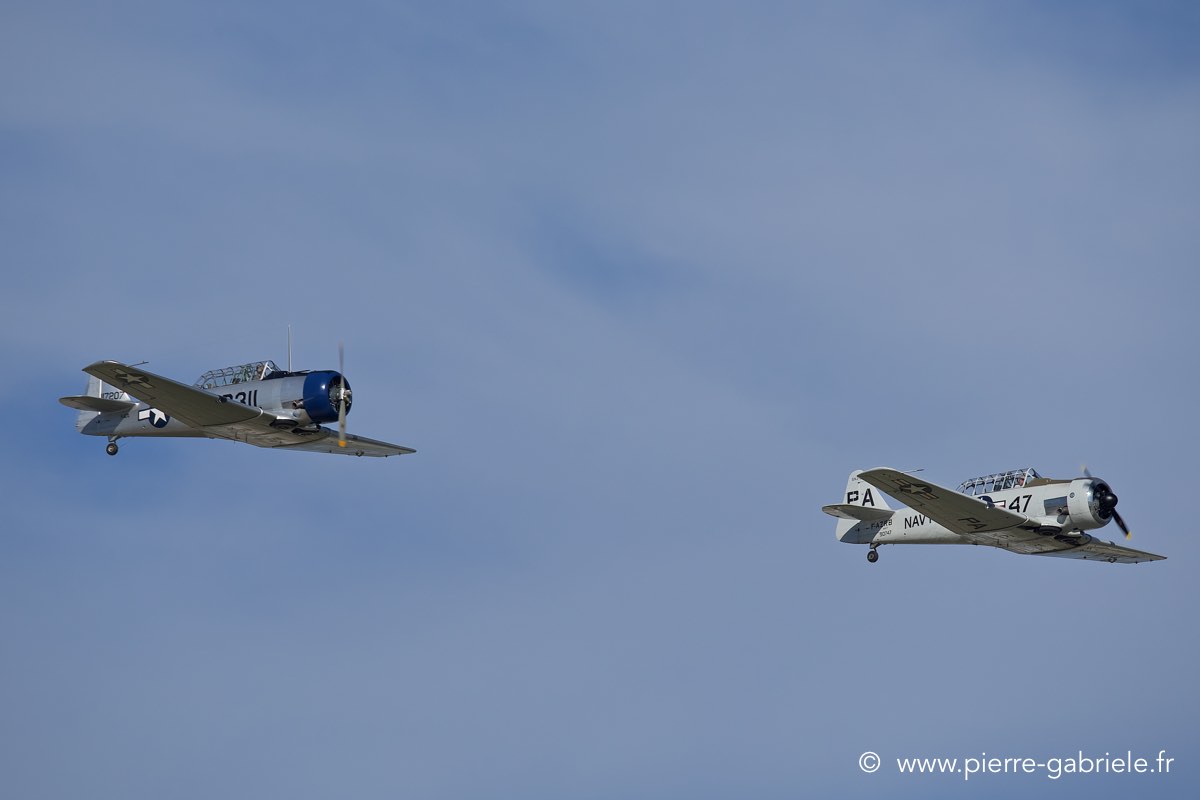 t6_6642.jpg