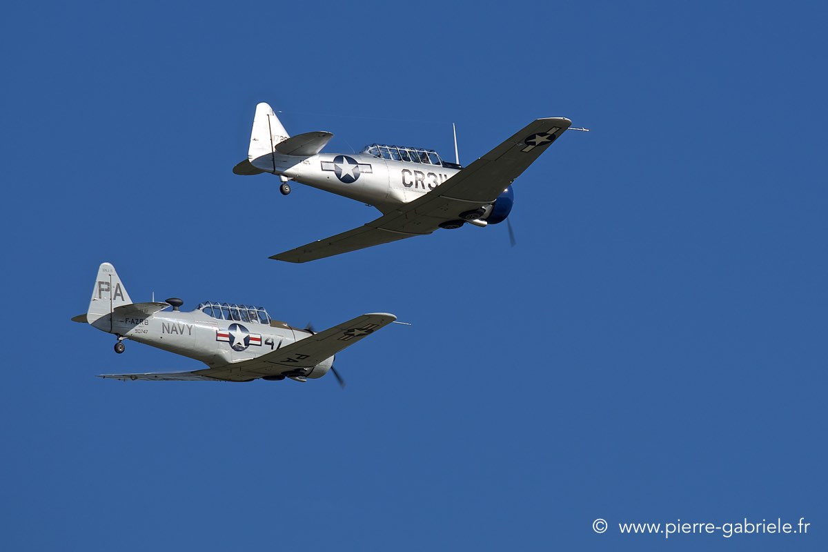 t6_6646.jpg