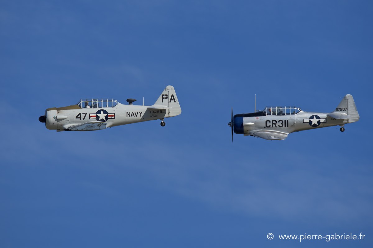 t6_6650.jpg