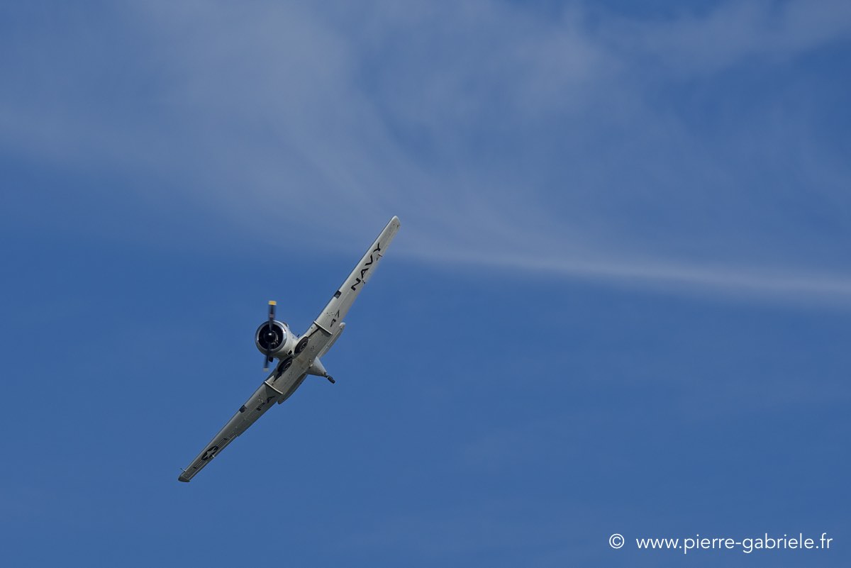 t6_6660.jpg