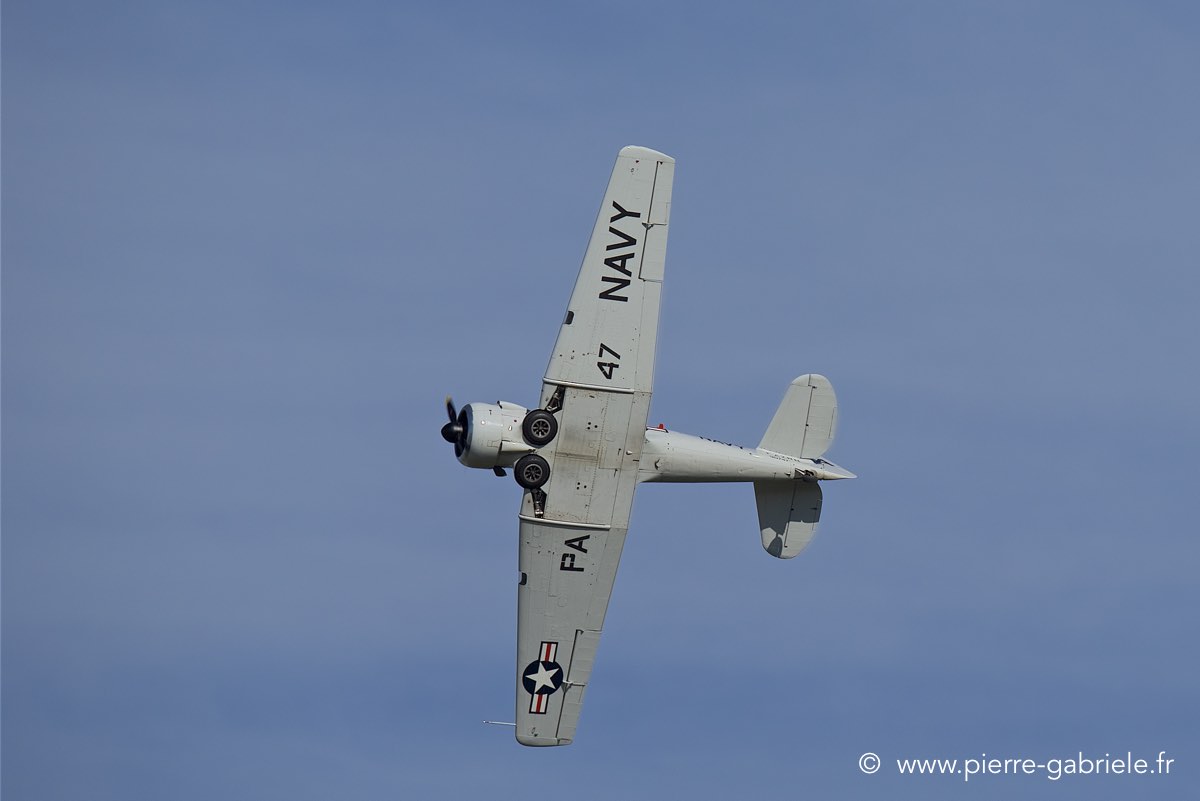 t6_6661.jpg