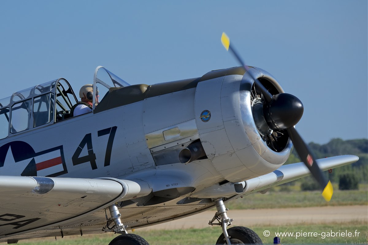 t6_6670.jpg
