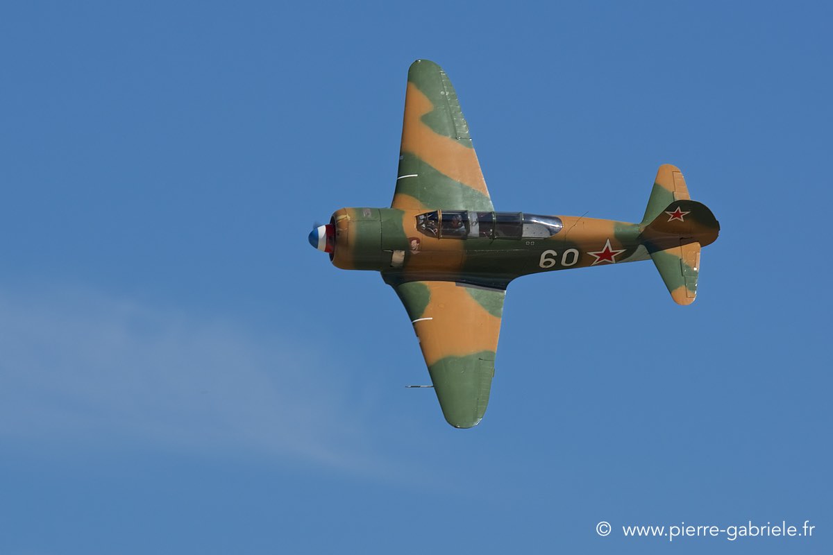 yak11_3458.jpg