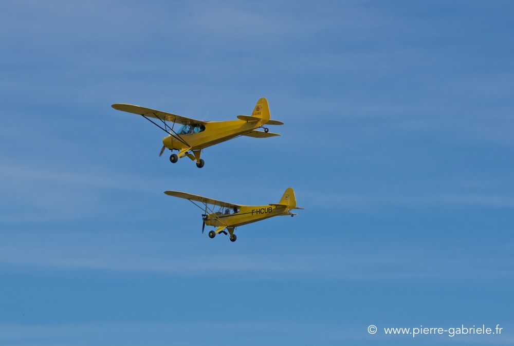 piper-cub_4667.jpg