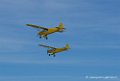 piper-cub_4667