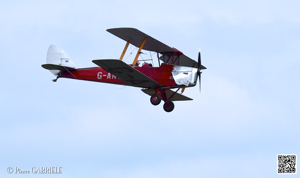 D75_0273.jpg