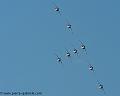 normandie-niemen_3500
