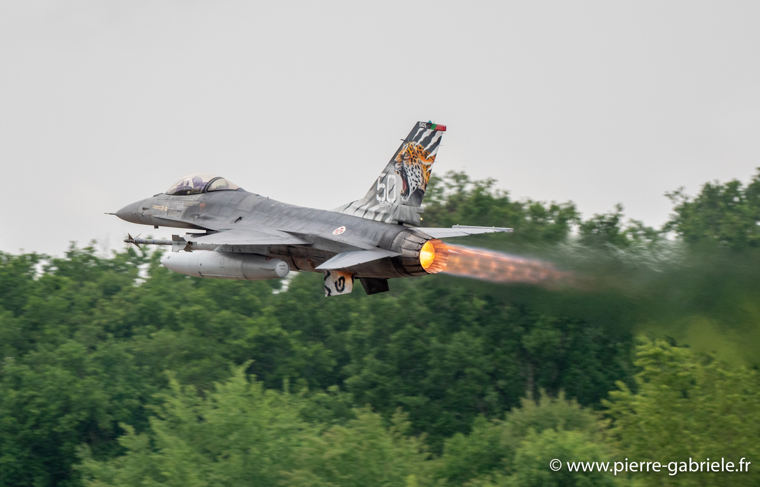 f16-g93_0470.jpg