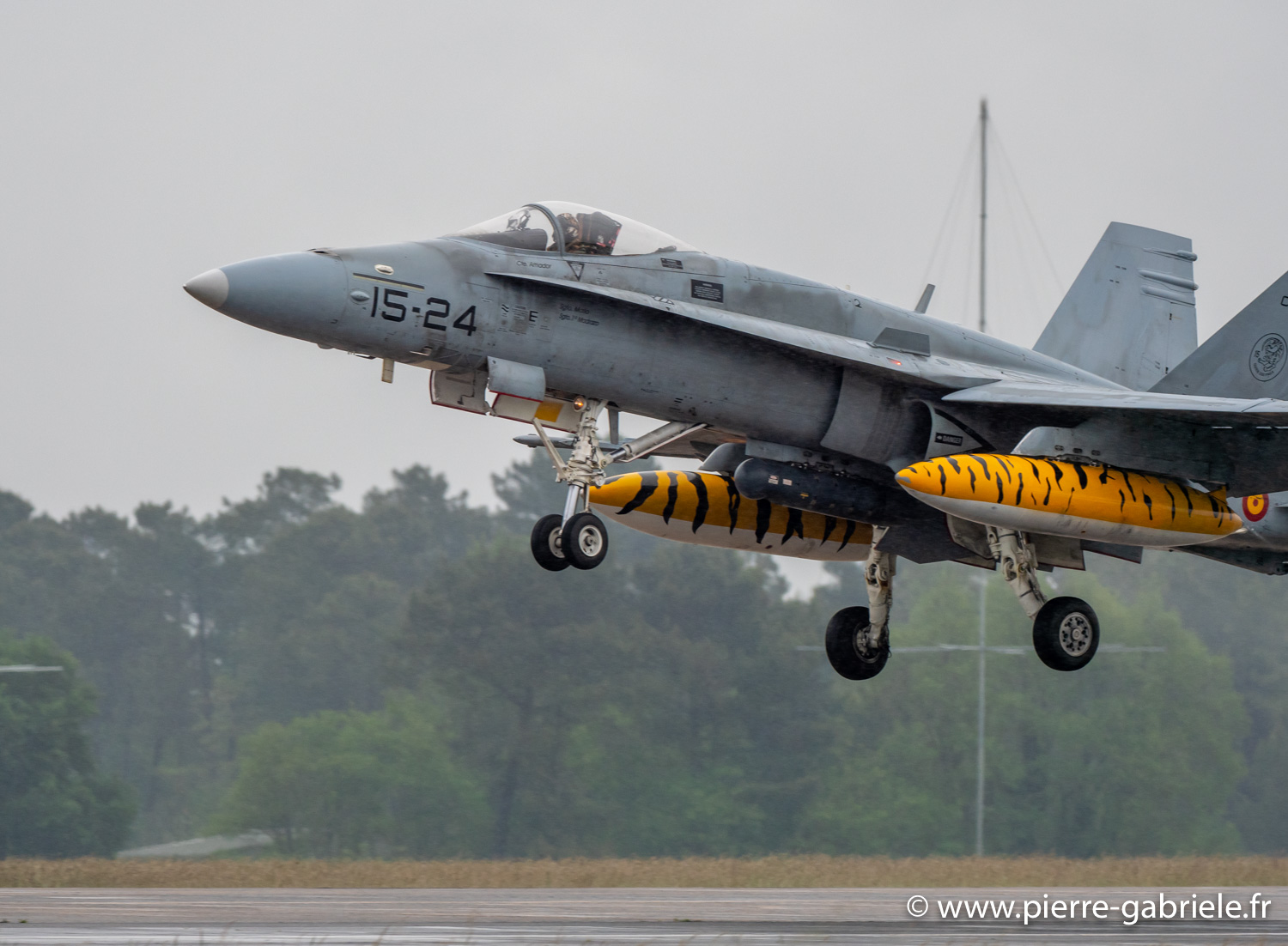 f18-g93_0352.jpg