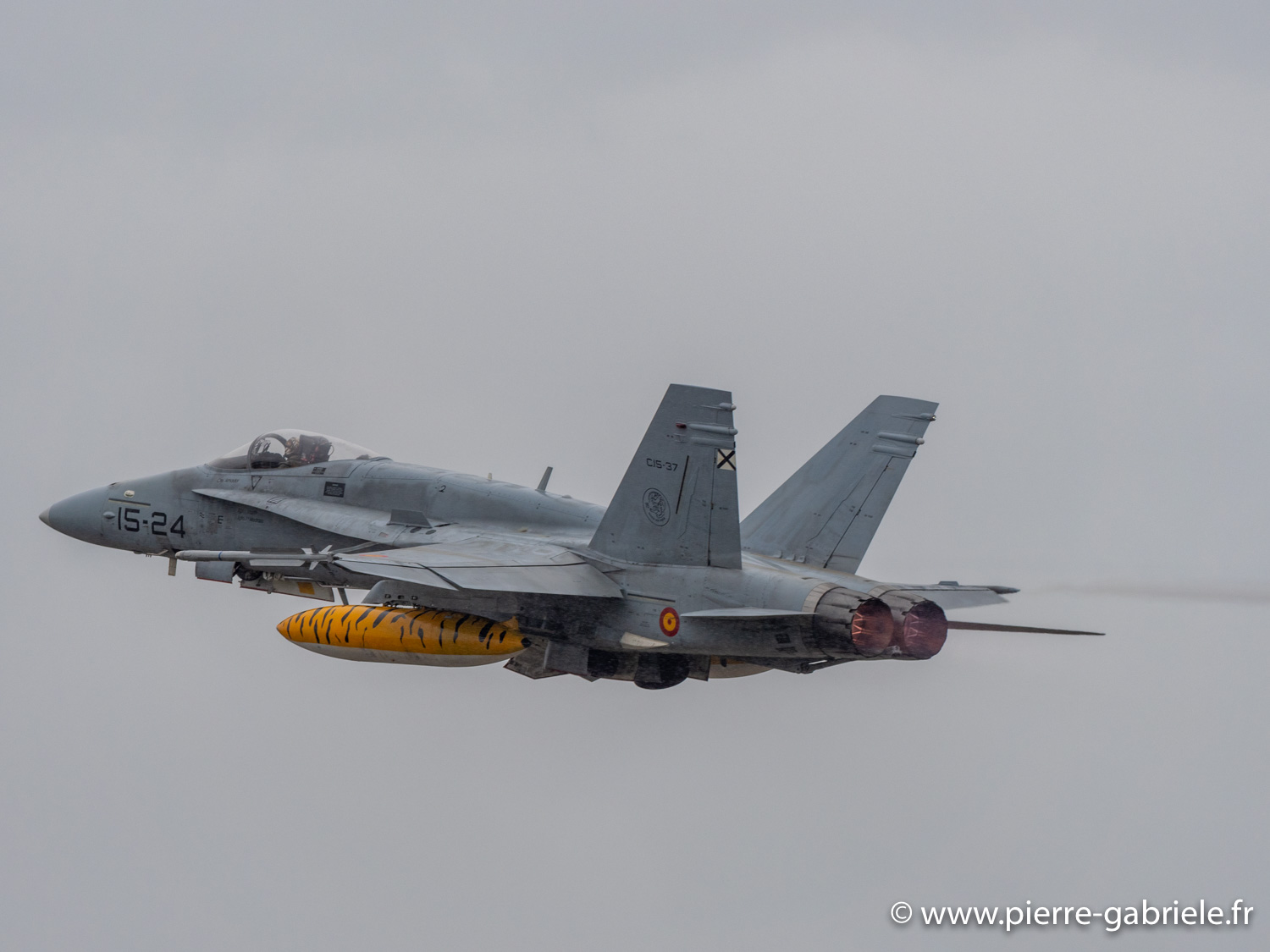 f18-g93_0354.jpg